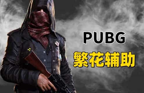 绝地求生繁花辅助